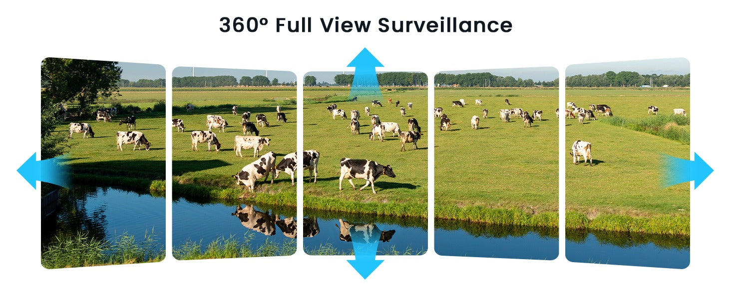 360° View